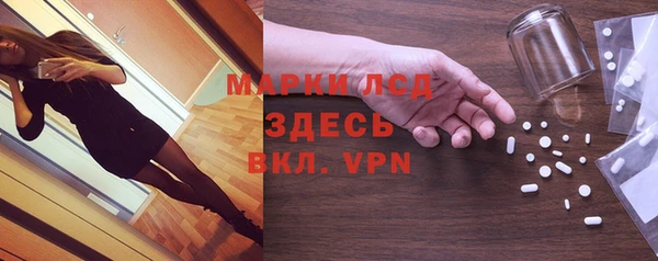 ГАЛЛЮЦИНОГЕННЫЕ ГРИБЫ Осташков