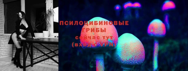 ГАЛЛЮЦИНОГЕННЫЕ ГРИБЫ Осташков