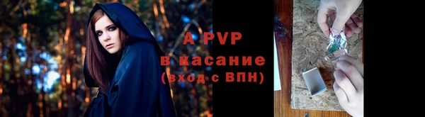 ГАЛЛЮЦИНОГЕННЫЕ ГРИБЫ Осташков