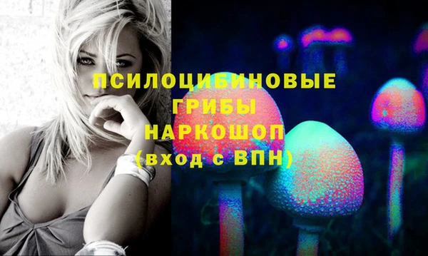 MESCALINE Осинники